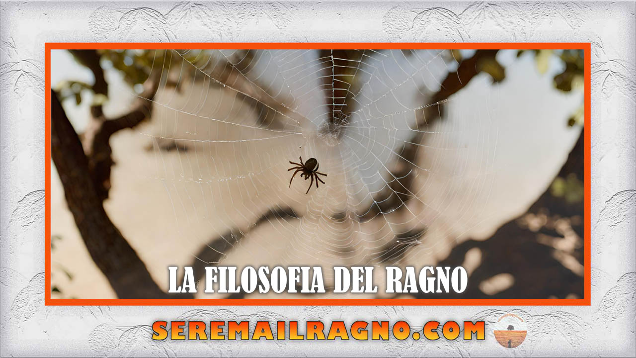 La filosofia del ragno