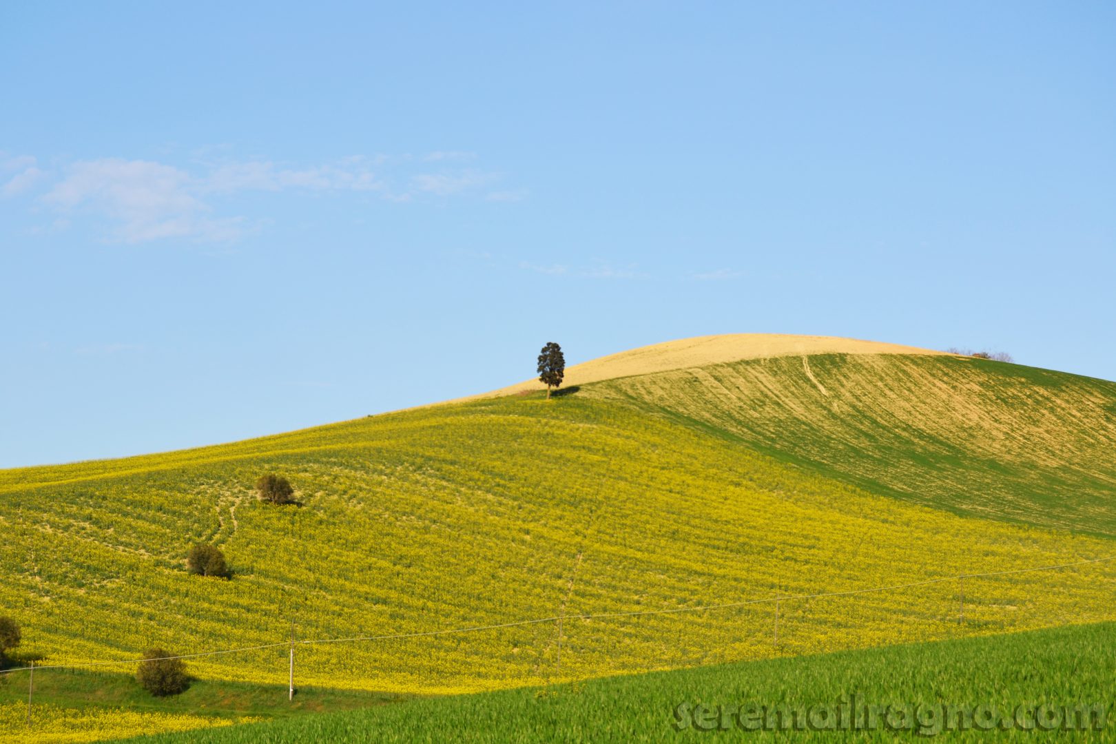 San Marco alle Paludi Fermo