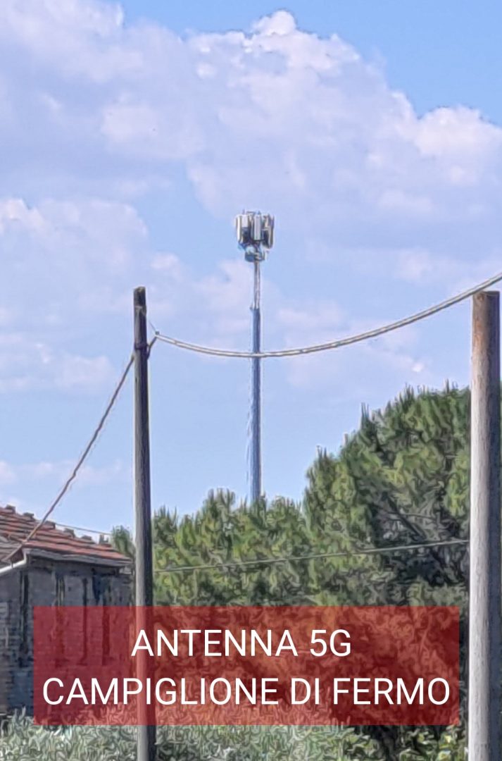 P 20240606 105916 1 1