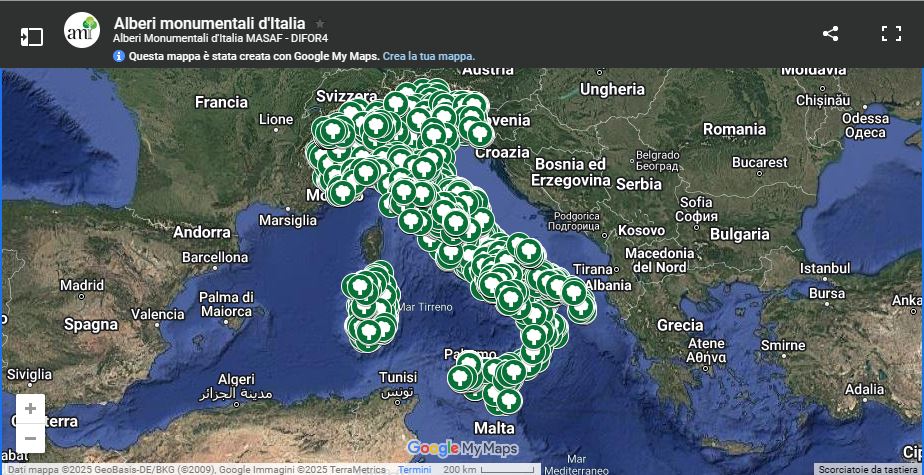 Mappa degli alberi monumentali d’Italia