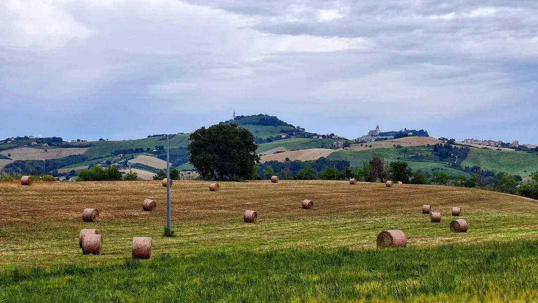 Bretella di Monte Urano