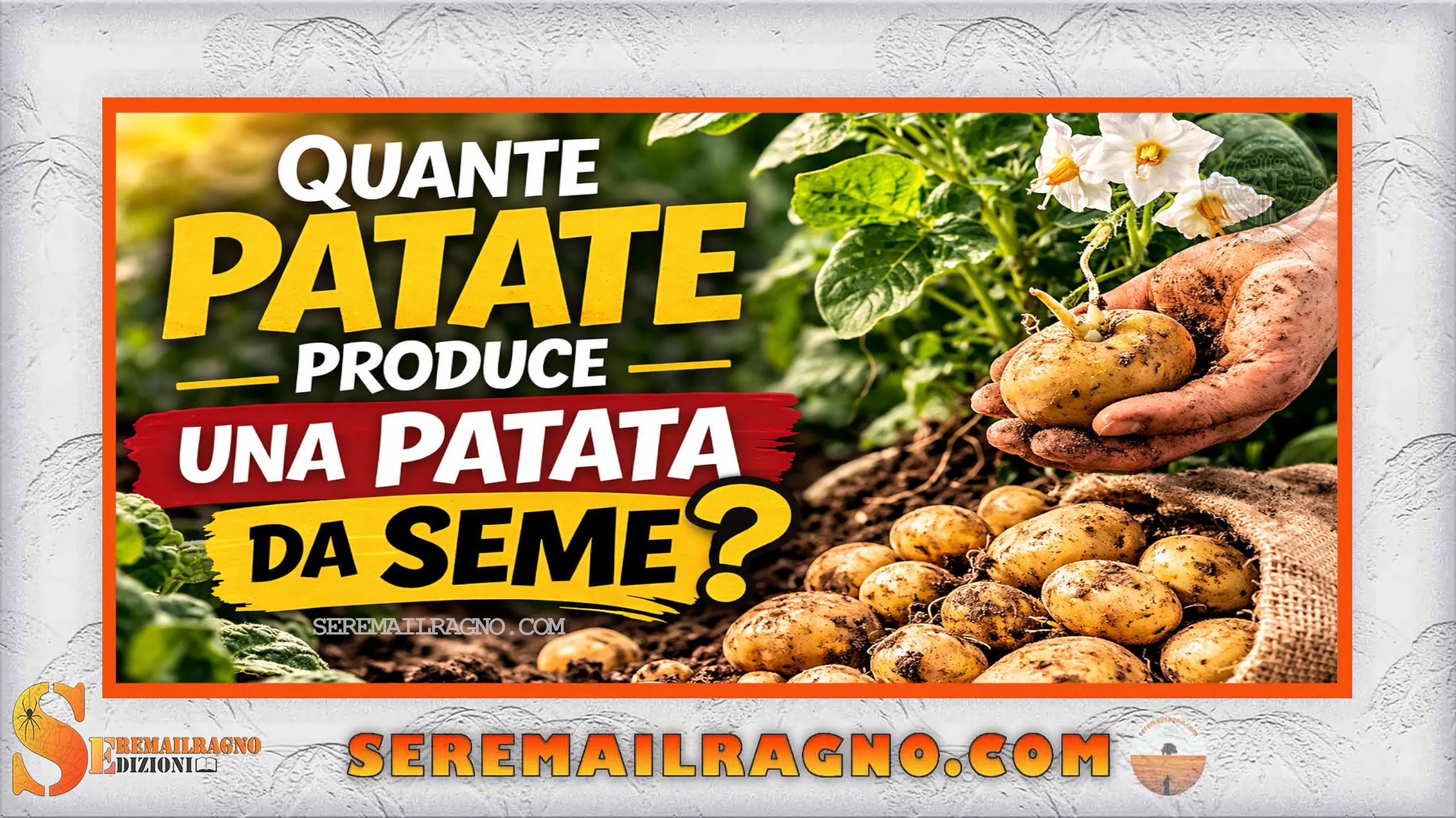 Quante patate produce una patata da seme